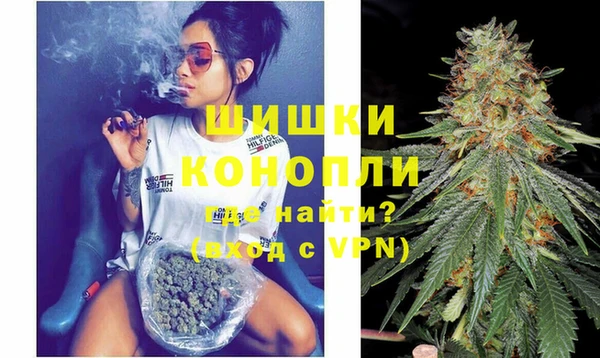 прущие грибы Нея