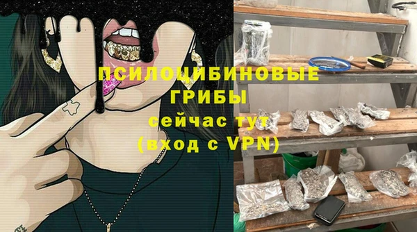 прущие грибы Нея