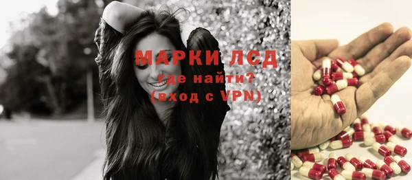 прущие грибы Нея