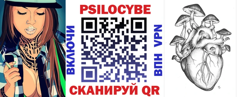 Псилоцибиновые грибы Psilocybe  Нюрба 